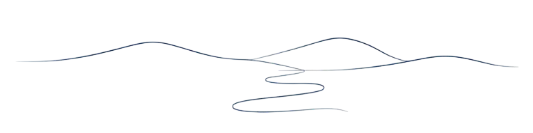 Line drawing transparent